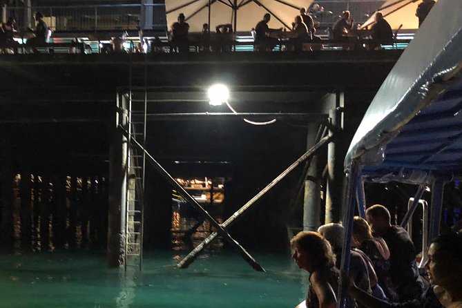 Darwin Sunset Cruise Including Fish 'n' Chips - Cruise route feel: mangroves, wharves, and that fun return speed