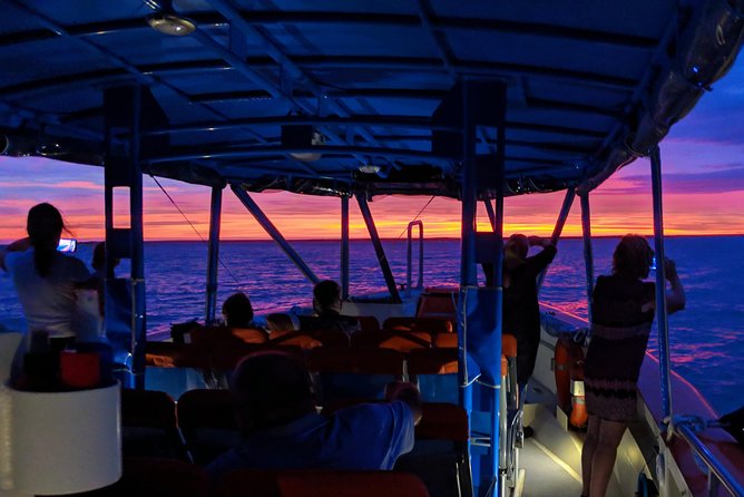 Darwin Sunset Cruise Including Fish 'n' Chips - Small-group vibe with friendly hosting, not a factory tour