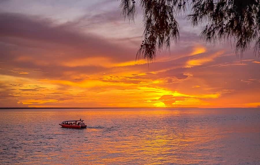 Darwin: Sunset Harbour Cruise with Fish and Chips Dinner - Key things to know before you go