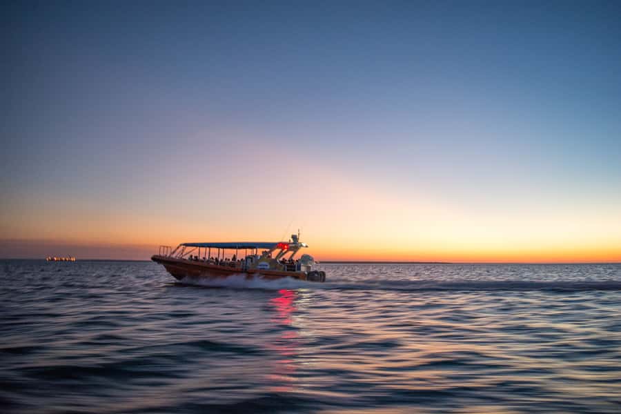 Darwin: Sunset Harbour Cruise with Fish and Chips Dinner - Logistics that make or break your evening