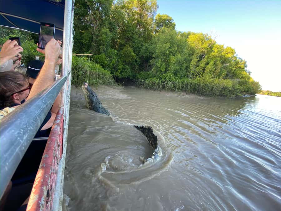 Darwin: The Croc Bus to the Famous Jumping Crocodile Cruise - What to bring (and what to leave out)