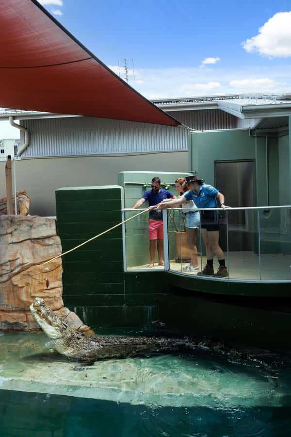 Darwin: VIP Crocosaurus Cove Experience - First Check-In in Darwin, Then You Get Straight to Reptile Time