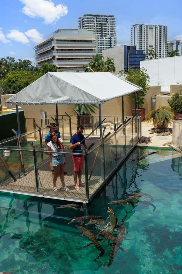 Darwin: VIP Crocosaurus Cove Experience - Who This VIP Crocosaurus Cove Experience Suits Best
