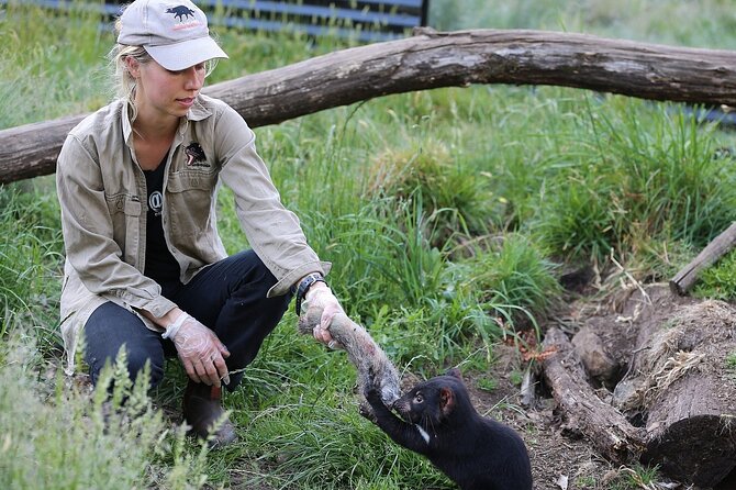 Day Keeper Tour - Quolls and the conservation angle that turns photos into meaning