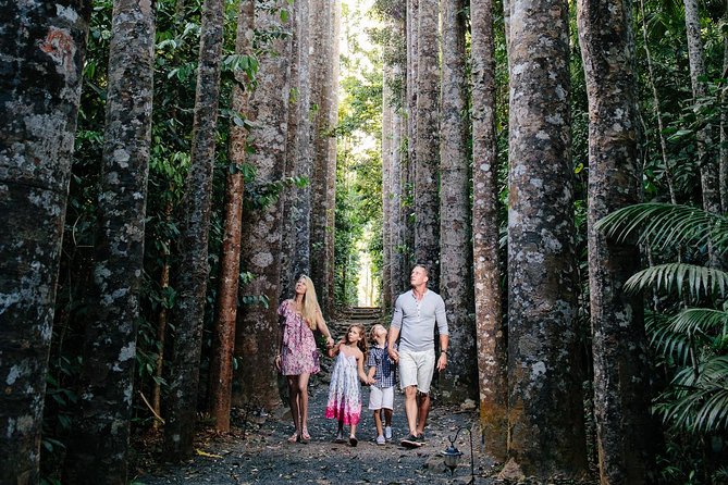 Day Tour to Paronella Park, Lake Barrine and Millaa Millaa Falls - Cairns to the Atherton Tablelands: Walsh’s Pyramid and the route you can enjoy