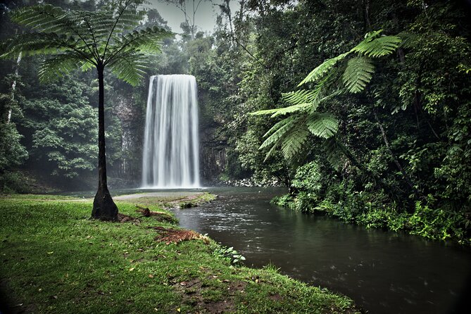 Day Tour to Paronella Park, Lake Barrine and Millaa Millaa Falls - Millaa Millaa Falls: swimming time, slippery rocks, and photo-friendly paths