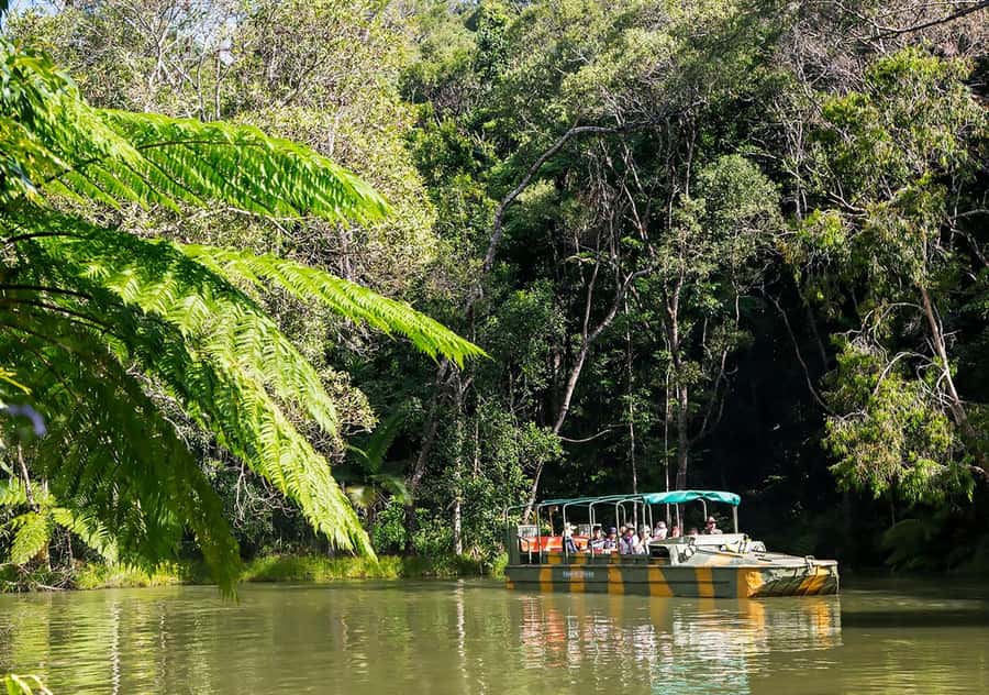 Day Trip: Rainforest & Aboriginal Culture Tour - The Big Idea: Why This Tour Works as a Cairns Day Trip