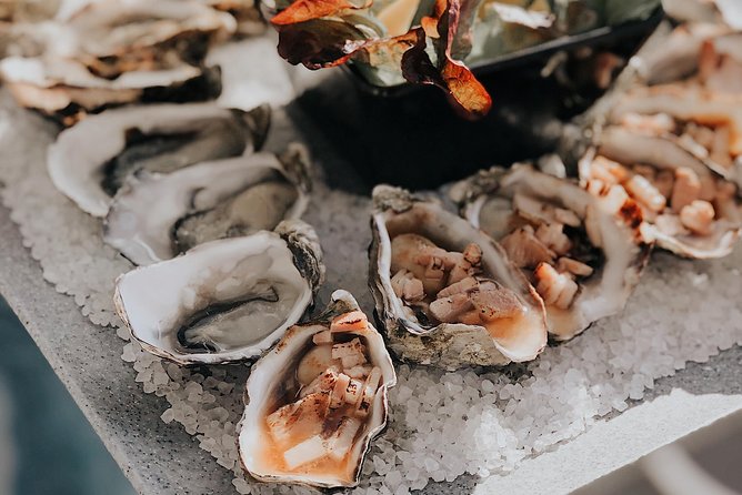 Deep-to-Dish: Tasmanian Seafood Experience - Cuttlefish cruising off Bruny Island: the vibe in 4.5 hours