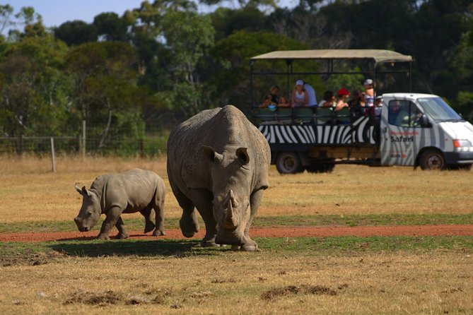 Deluxe Safari Adventure at Werribee Open Range Zoo - excl. entry - Key highlights you will care about