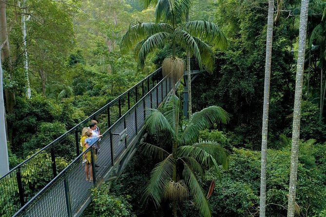 Deluxe Springbrook & Mt Tamborine Glow Worms and famous Skywalk - Key things I’d circle before you book