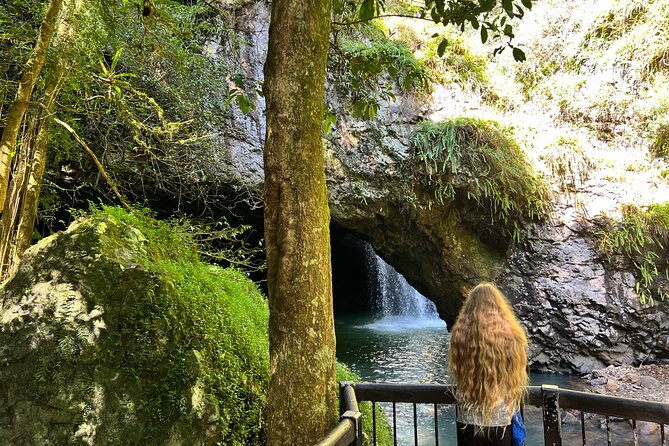 Deluxe Springbrook & Mt Tamborine Glow Worms and famous Skywalk - How the small-van format makes this day trip work