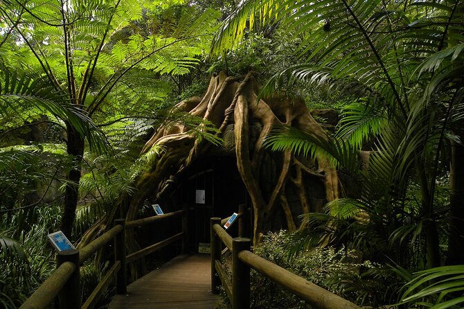 Deluxe Springbrook & Mt Tamborine Glow Worms and famous Skywalk - Robert Sowter Park Monument: quick views across big distances