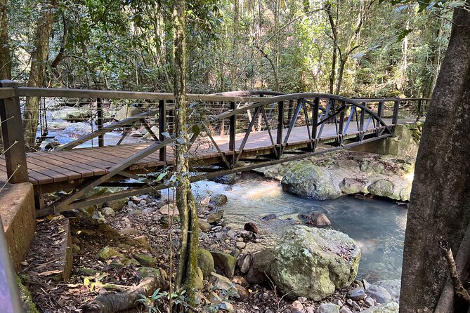 Deluxe Springbrook & Mt Tamborine Glow Worms and famous Skywalk - Tamborine Mountain Glow Worm Caves: what the manmade cave experience is really for