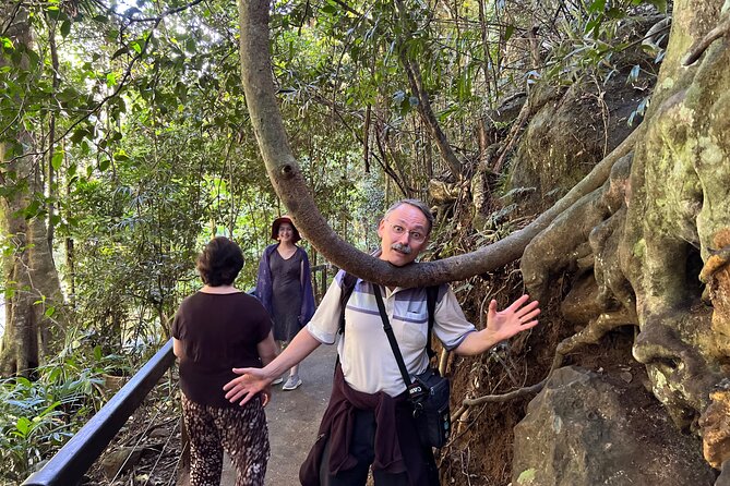 Deluxe Springbrook & Mt Tamborine Glow Worms and famous Skywalk - Food and timing: how they keep an 8-hour day from feeling too brutal