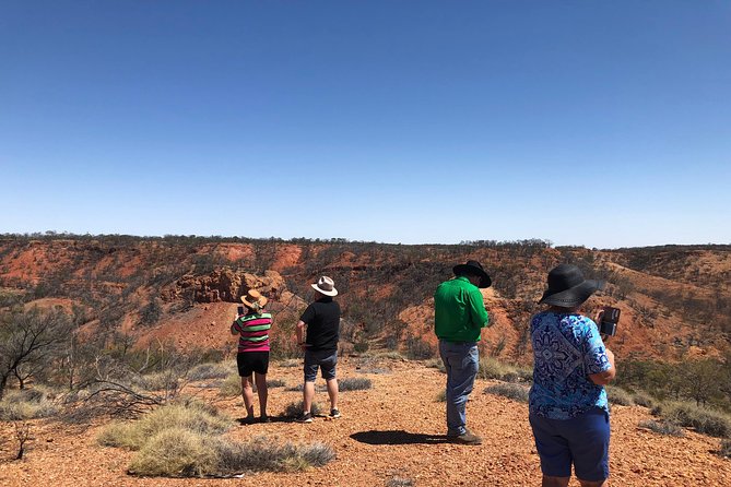 Dinosaur Stampede 3/4 Day Tour from Winton - Where the Dinosaur Stampede story starts: Winton and Lark Quarry