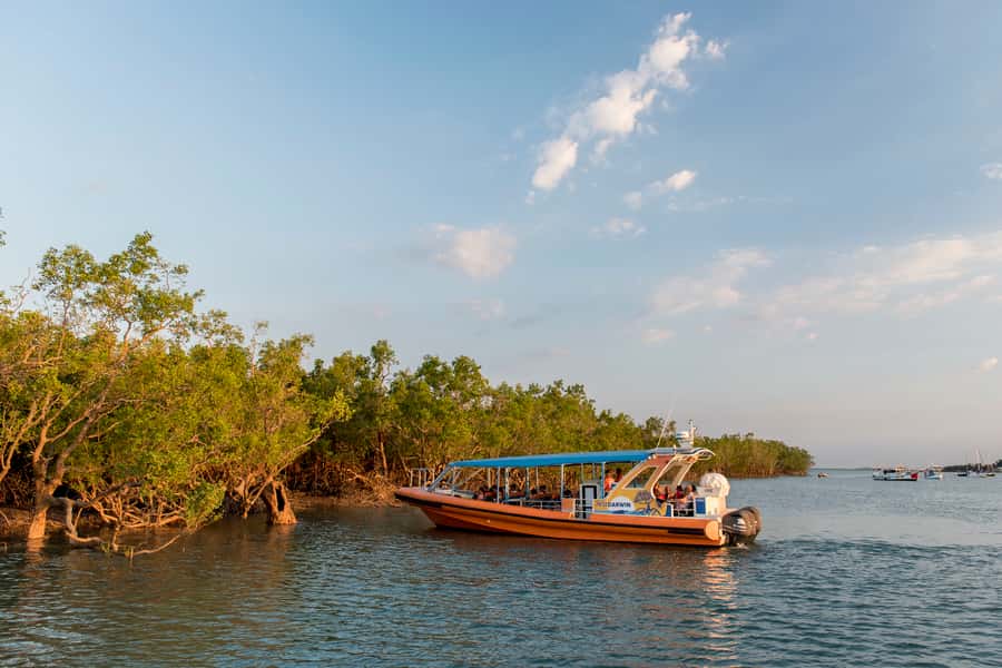 Discover Darwin Harbour: Darwin Harbour Afternoon Cruise - Key Things I’d Put On Your Radar