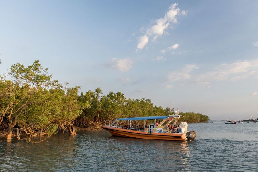 Discover Darwin Harbour: Darwin Harbour Afternoon Cruise - Cyclone Tracy, Told From a Place You Can See