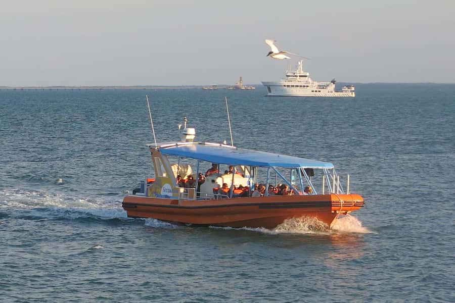 Discover Darwin Harbour: Darwin Harbour Afternoon Cruise - Coonawarra Navy Base and Modern Defence Activity