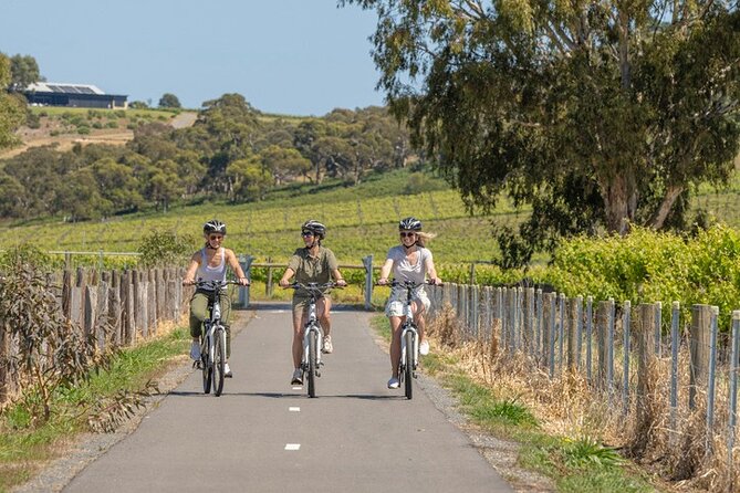 Discover McLaren Vale on eBikes - Full Day - Key things I’d prioritize before you go