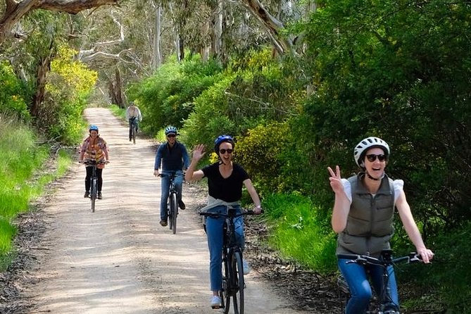 Discover McLaren Vale on eBikes - Full Day - What the day feels like, from 796 Main Rd to the finish
