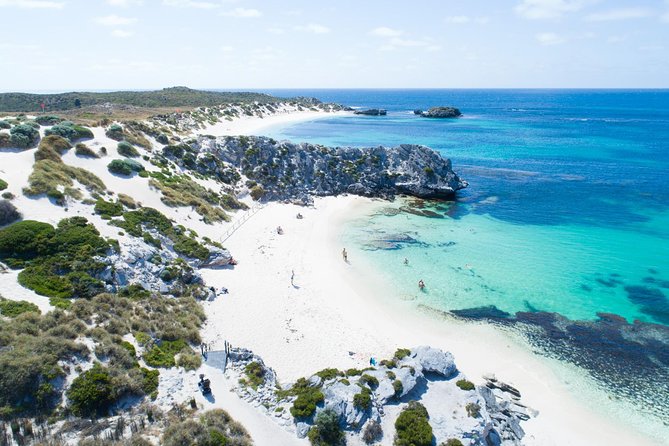 Discover Rottnest with Ferry & Bus Tour - Key highlights to know before you go
