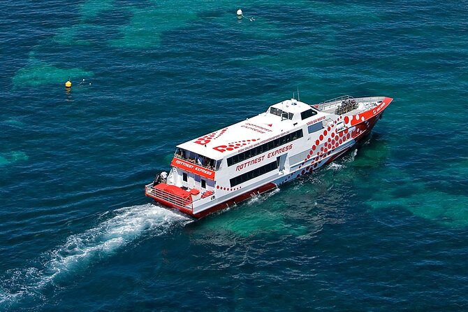 Discover Rottnest with Ferry & Bus Tour - Price and Value: What You Pay For, and What You Still Need to Pay For