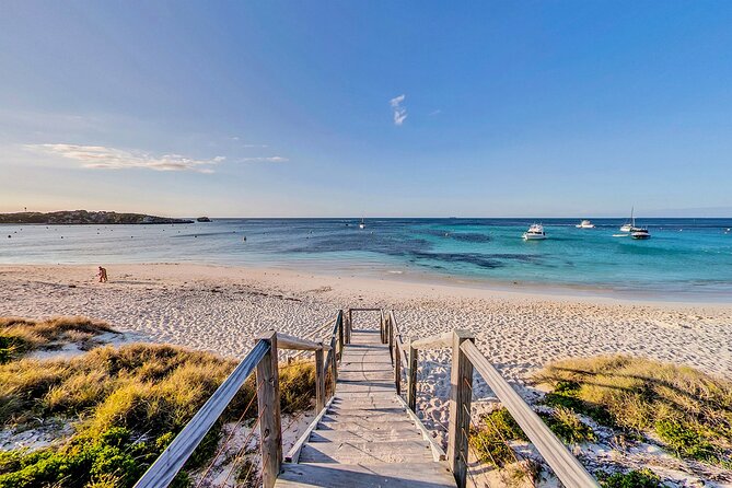 Discover Rottnest with Ferry & Bus Tour - On-Board and Island Tips That Make the Day Feel Smoother