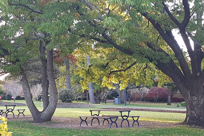 Discover Toowoomba Tours - Toowoomba, your way: why this tour style works