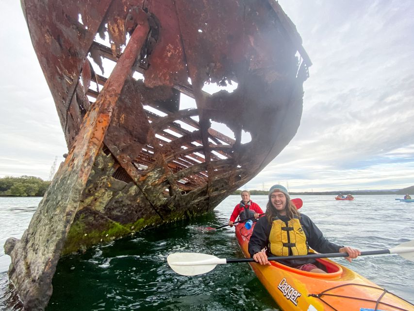 Dolphin Sanctuary and Ships Graveyard Kayak Tour - Who This Tour Suits Best, and Who Should Skip It