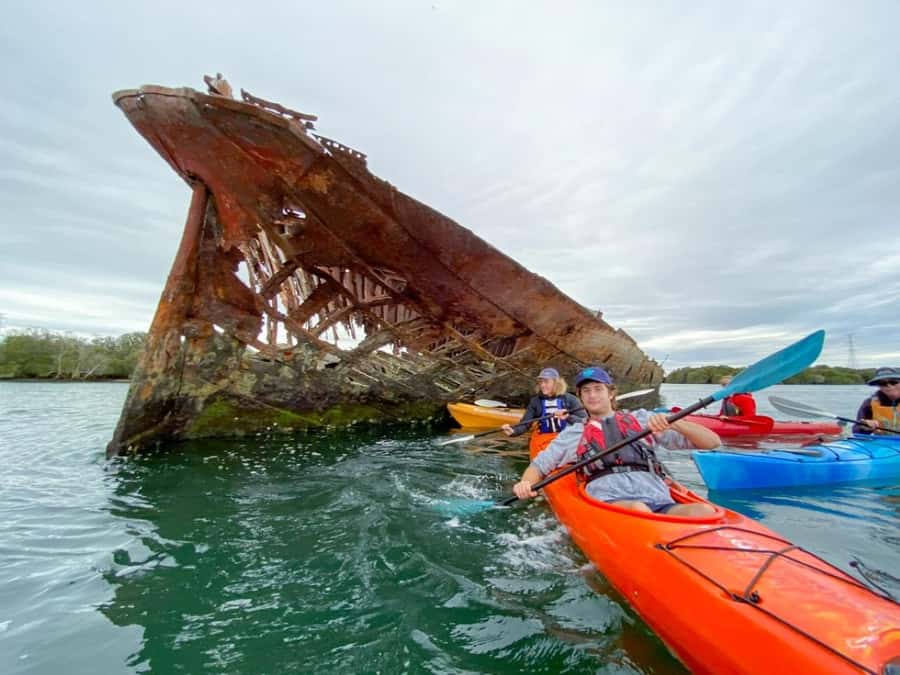 Dolphin Sanctuary and Ships Graveyard Kayak Tour - The Port Adelaide River Paddle: Mangroves, Birds, and a Relaxed Pace