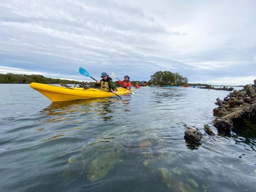 Dolphin Sanctuary and Ships Graveyard Kayak Tour - Logistics That Matter: Getting to Garden Island