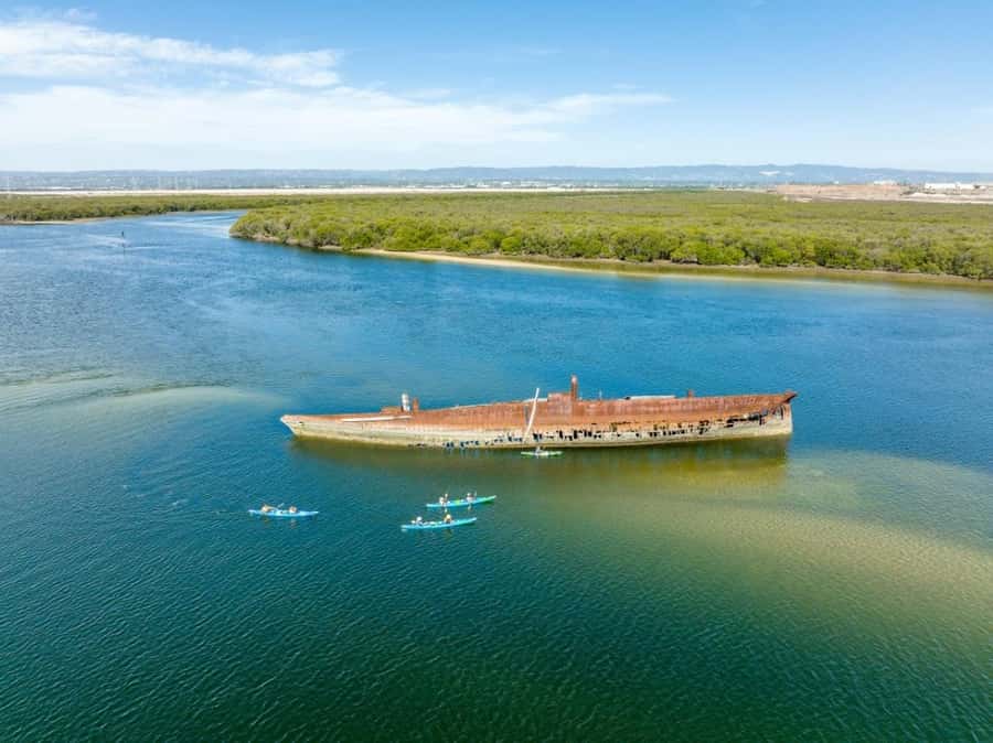 Dolphin Sanctuary and Ships Graveyard Kayak Tour - Getting Ready: Gear, Life Jackets, and First-Time Paddler Comfort