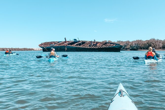 Dolphin Sanctuary Kayak Tour Adelaide - The 3-hour flow: a step-by-step look at what happens on the water