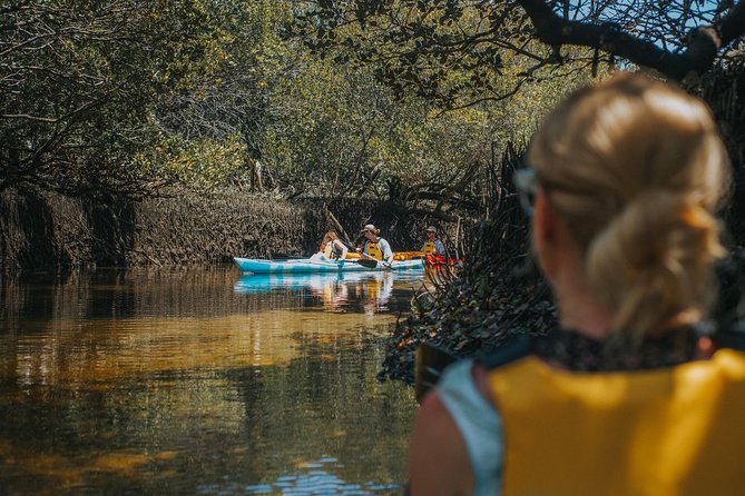 Dolphin Sanctuary Kayak Tour Adelaide - Who this tour suits, and who should rethink the plan
