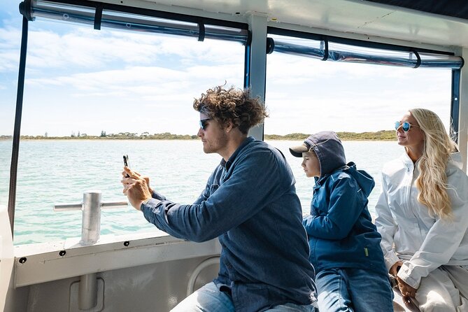 Dolphin, Sea Lion and Penguin Island Cruise - A 1-hour wildlife run from Perth, built for families and first-timers