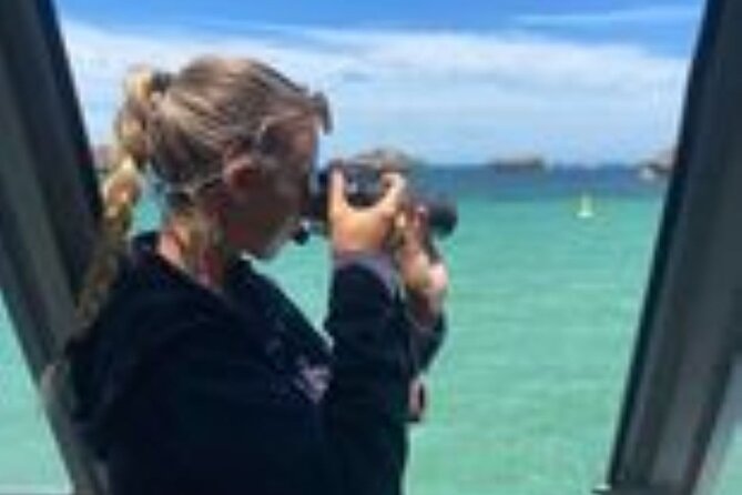 Dolphin, Sea Lion and Penguin Island Cruise - Getting there near public transport and planning your day