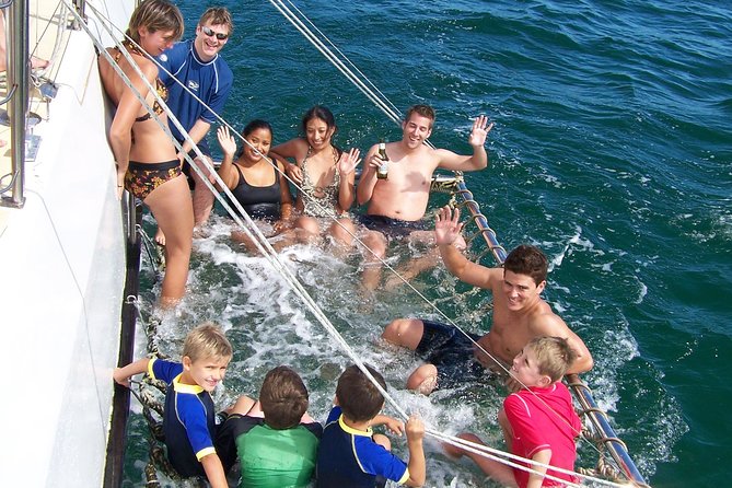 Dolphin Watch + Sailing - Port Stephens - Coffee or tea, plus a catamaran that feels comfortable