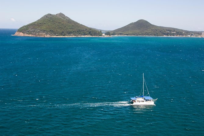Dolphin Watch + Sailing - Port Stephens - Price and value: is $35.86 per person fair?
