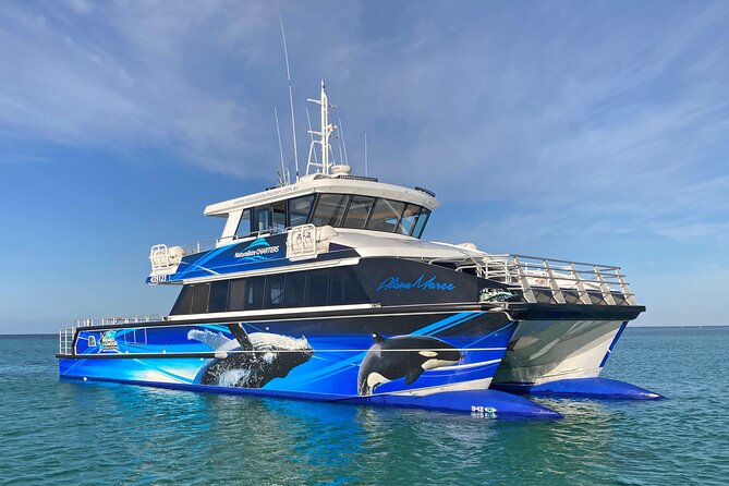 Dunsborough Whale Watching Eco Tour - Species You Might Spot, and When the Chances Improve