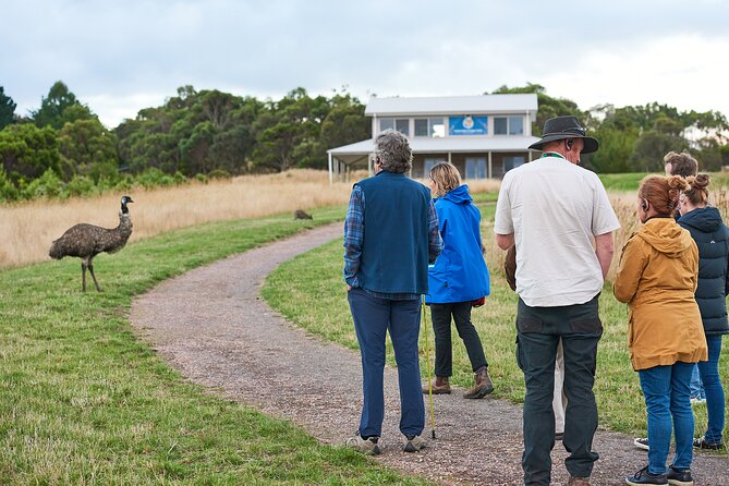 Dusk Discovery Tour - Key things that make this tour worth your time