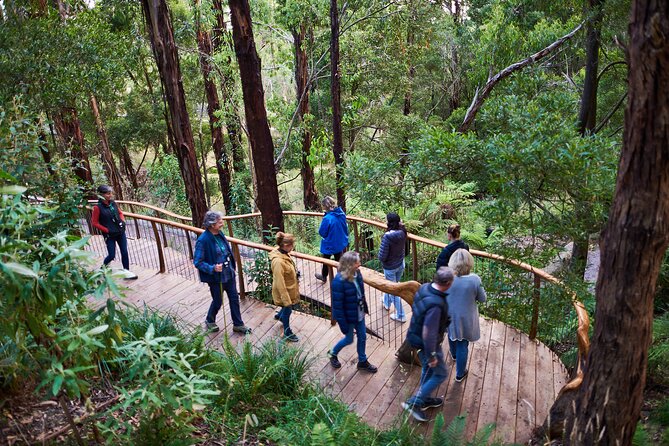 Dusk Discovery Tour - Dusk Discovery Tour at Wildlife Wonders: the Otways wildlife moment