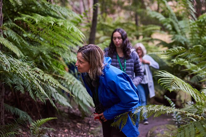 Dusk Discovery Tour - Conservation first: predator-free sanctuary and the threatened species mission