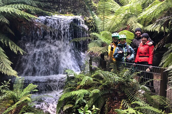 Easy Bike Tour - Mt Wellington Summit Descent & Rainforest Ride - Key highlights worth your attention