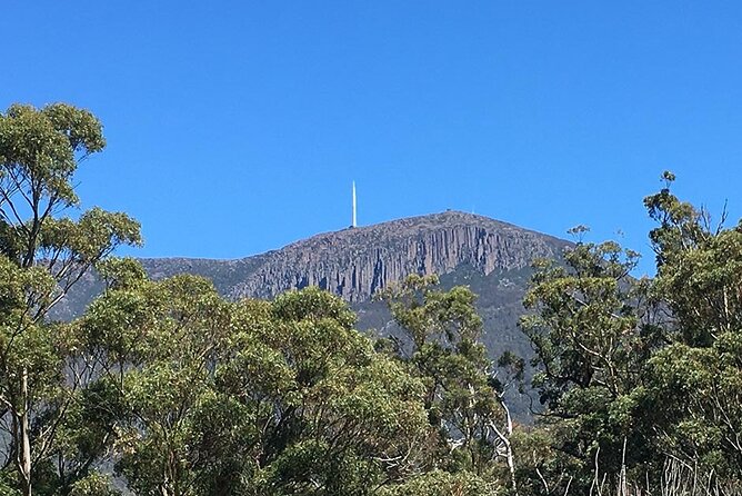 Easy Bike Tour - Mt Wellington Summit Descent & Rainforest Ride - Helmet and bike set-up: where the comfort comes from