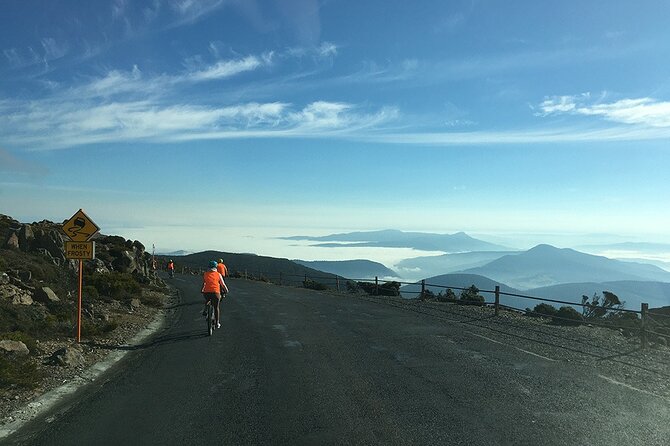 Easy Bike Tour - Mt Wellington Summit Descent & Rainforest Ride - The Lost Freight Cafe stop: a real break, not a stall