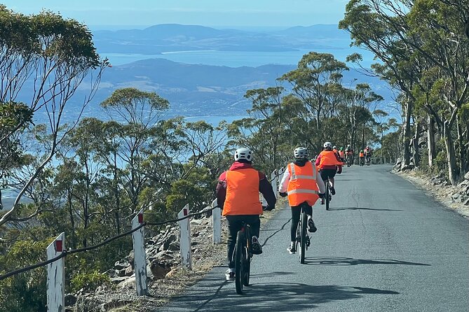 Easy Bike Tour - Mt Wellington Summit Descent & Rainforest Ride - The 11 km rainforest ride: easy downhill through real Tasmania