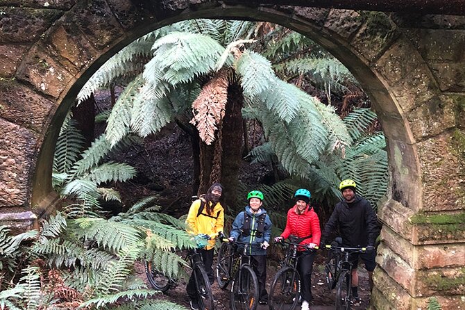 Easy Bike Tour - Mt Wellington Summit Descent & Rainforest Ride - Guides who teach: bike handling plus local nature facts