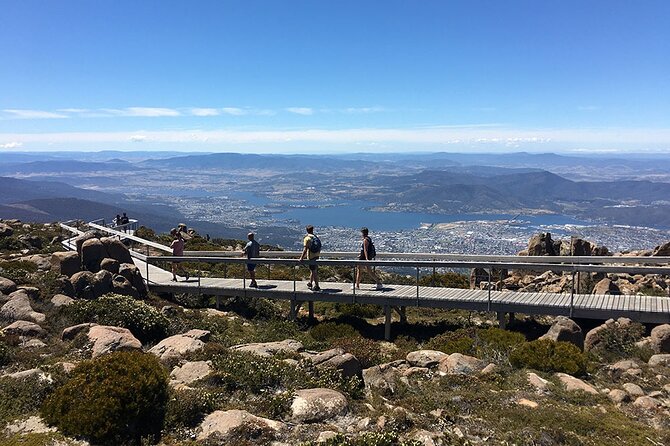 Easy Bike Tour - Mt Wellington Summit Descent & Rainforest Ride - Small-group pacing: who this suits best