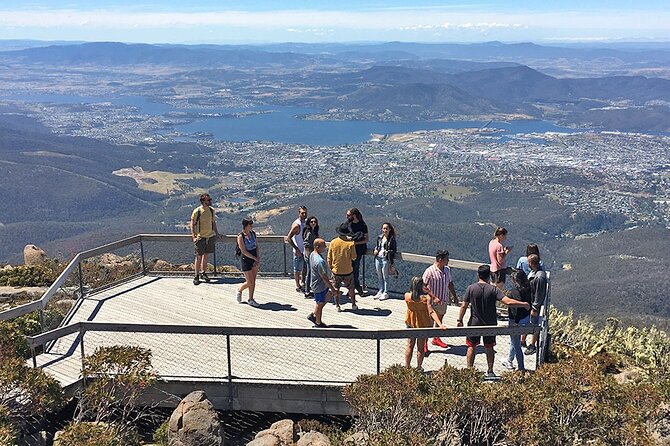 Easy Bike Tour - Mt Wellington Summit Descent & Rainforest Ride - The 6 km summit road descent: speed, views, and control