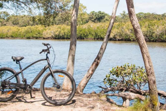 eBike Noosa Sightseeing Tour - New! - Stop 3: Lake Doonella, a shaded loop with birdlife energy
